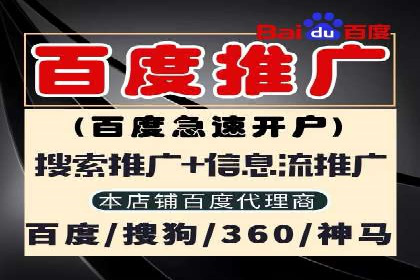 SEM搜索引擎优化案例：揭秘企业品牌知名度提升之道